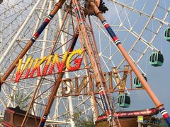 -凤凰欢乐大世界