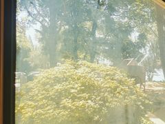 -食膳公园包子铺(烈士公园店)