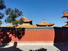 -大召无量寺