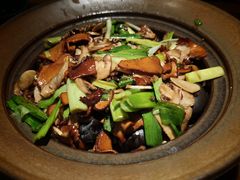 爆炒赤松茸黑牛肝菌-云海肴·汽锅鸡·云南菜(广安门天虹店)