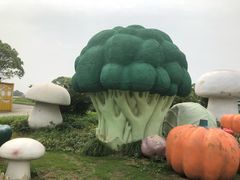 -上海都市菜园