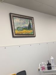 -温州伯思立医院