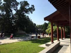 -黄帝陵