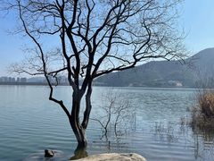 -青山湖景区