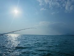 -小猫钓鱼海钓俱乐部(椰梦长廊店)