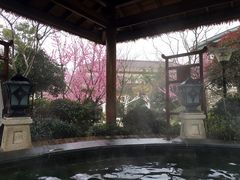 -苏州湾王焰温泉度假酒店