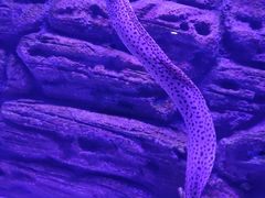-厦门海底世界