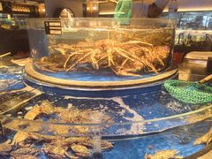 -上和臻品中国菜(花园街店)