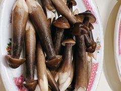 鸡枞菌-燃计沙茶皇·香港沙茶火锅(人广旗舰店)