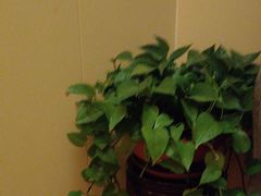 -鸥迪足道(时光海店)