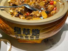 -绿草地·湘菜(7mall店)