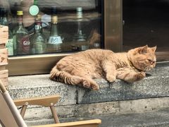 -峨嵋酒家(地安门店)