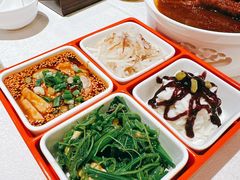 -大铁勺新津菜(东丽阳光新业广场店)