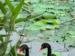 -昆山城市生态森林公园
