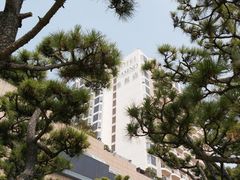 -海云台海滩