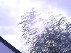 -普芬比利蒸汽火车