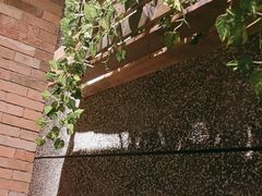 -辛香汇·现炒川菜(武进吾悦店)