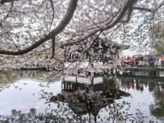 -印象西湖·最忆是杭州实景演出