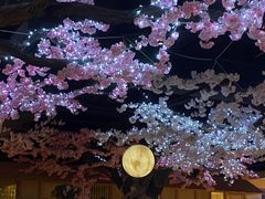 -蓝鲸湾汤泉(包河店)