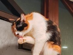 -吉友粥底火锅(方斜路店)