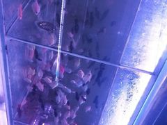 -万卉源鲜花店(百尚生活广场店)