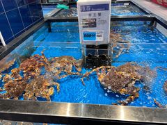 -大润发(康桥店)