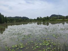 -道林古镇