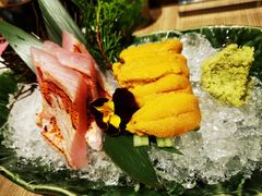 活海胆-小山日本料理(太古汇店)