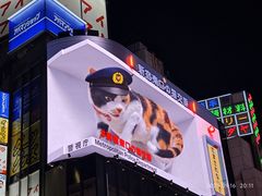 -蟹道乐(新宿本店)