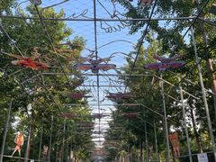 -南宫五洲植物乐园