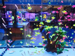 -三旗百汇商品城