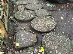 -香炉山国家森林公园