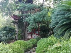 android_upload_pic-华雅花园大酒店