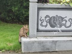 -厦门园林博览苑