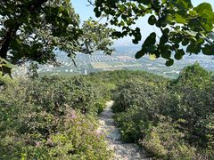 -北京西山国家森林公园