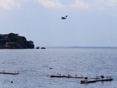 -洱海月湿地公园