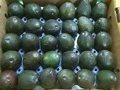 -上海龙吴水胜海发市场