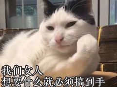 -陕九门老碗面(人民路店)