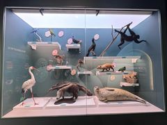 -国家自然博物馆