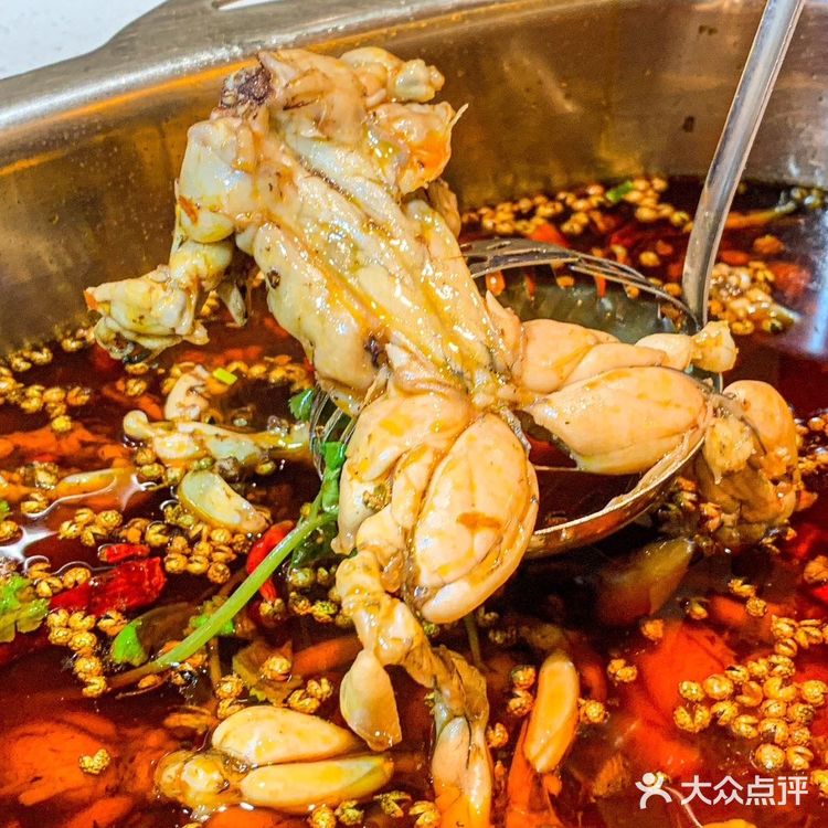 挖到宝‼️美蛙鱼头锅够麻够辣一吃难忘…
