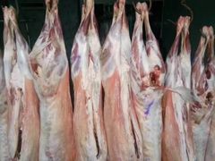 -清真新凯腊牛羊肉专卖店