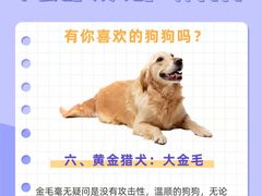 -申普宠物医院·心脏介入·心血管微创(总院)