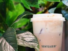 -SENTEA森茶(麦地丽日店)