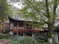 -十八棵（老龙井）御茶园(老龙井店)