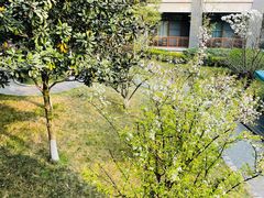 -成都安仁福朋喜来登酒店