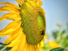 -野鸭湖国家湿地公园