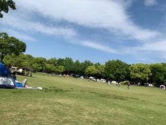 -上海吴淞炮台湾国家湿地公园