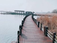 -太湖湖滨国家湿地公园-停车场