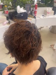-GANO HAIR 