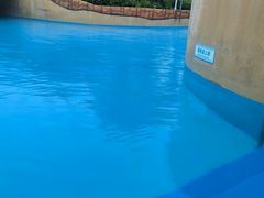 -上海玛雅海滩水公园